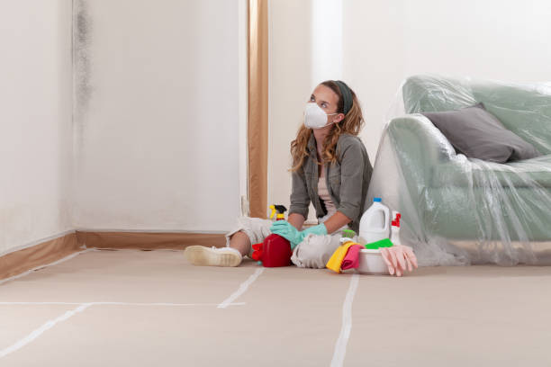 Reliable Mold Inspection contractor in Decatur, MI by WQB Mold Removal